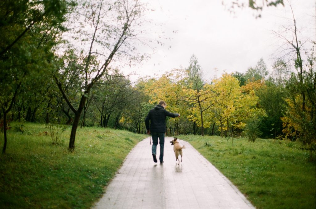 Dog Walking Without Leash